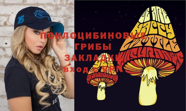 МДМА Гусиноозёрск